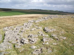 Crosby Ravensworth Moor
