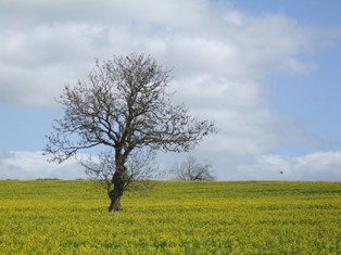 Flat in Places